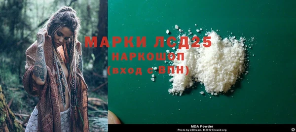 стаф Вяземский