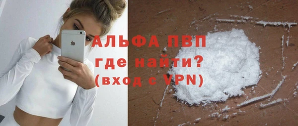 ГАЛЛЮЦИНОГЕННЫЕ ГРИБЫ Вязьма