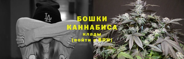 стаф Вяземский