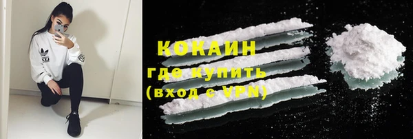 стаф Вяземский