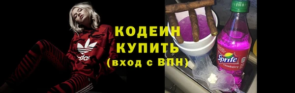 ГАЛЛЮЦИНОГЕННЫЕ ГРИБЫ Вязьма