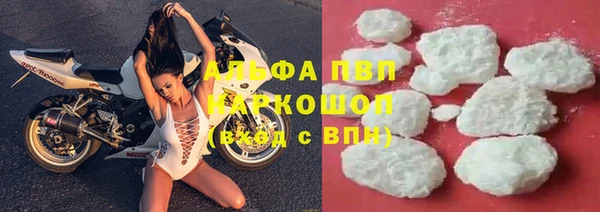индика Хадыженск