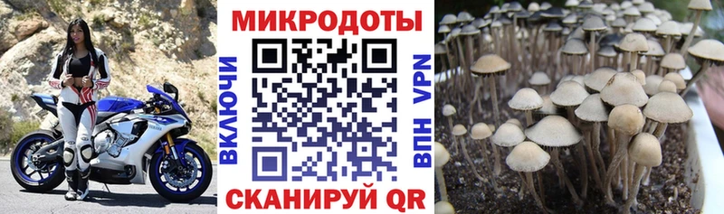 shop какой сайт  Покровск  МЕГА   Галлюциногенные грибы MAGIC MUSHROOMS  сколько стоит 